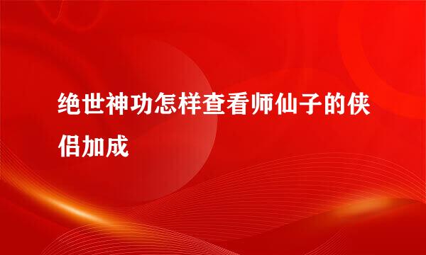 绝世神功怎样查看师仙子的侠侣加成