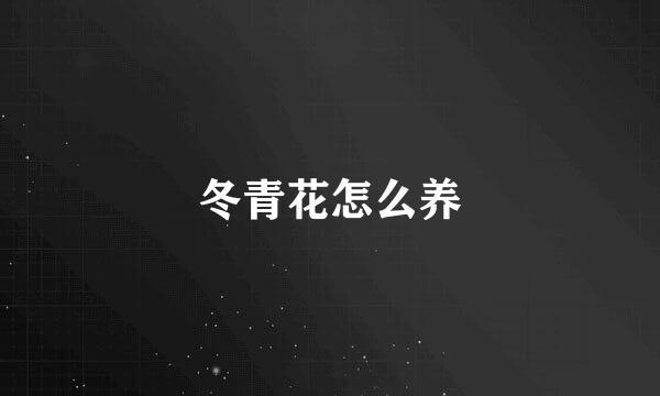 冬青花怎么养