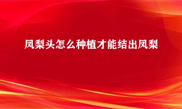 凤梨头怎么种植才能结出凤梨