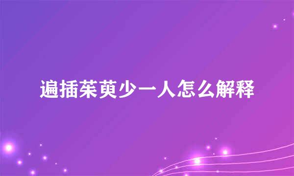 遍插茱萸少一人怎么解释