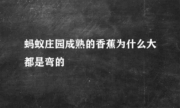 蚂蚁庄园成熟的香蕉为什么大都是弯的