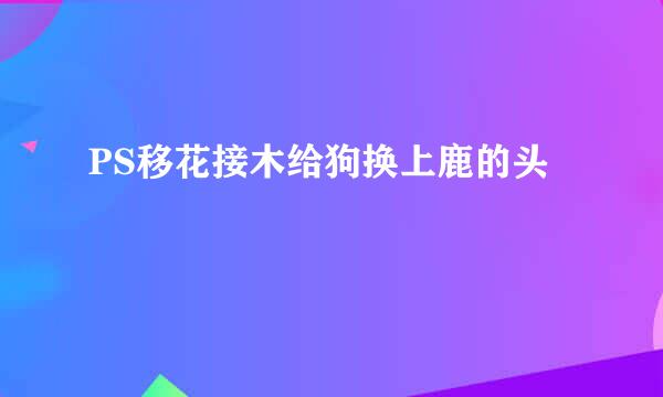 PS移花接木给狗换上鹿的头