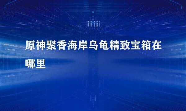 原神聚香海岸乌龟精致宝箱在哪里