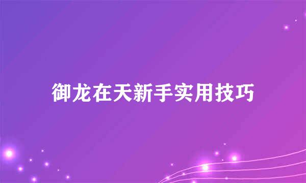 御龙在天新手实用技巧
