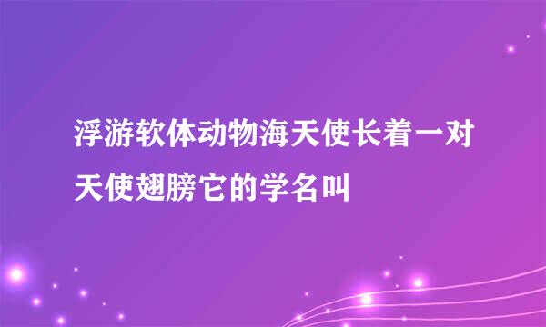 浮游软体动物海天使长着一对天使翅膀它的学名叫