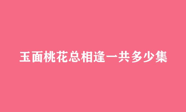 玉面桃花总相逢一共多少集