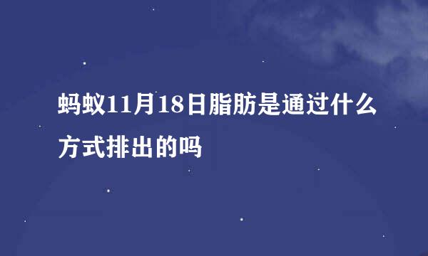 蚂蚁11月18日脂肪是通过什么方式排出的吗