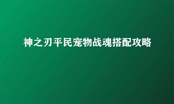 神之刃平民宠物战魂搭配攻略