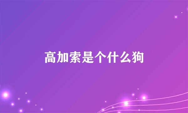 高加索是个什么狗