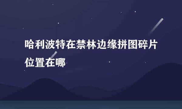 哈利波特在禁林边缘拼图碎片位置在哪