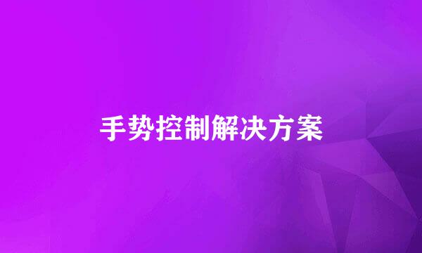 手势控制解决方案
