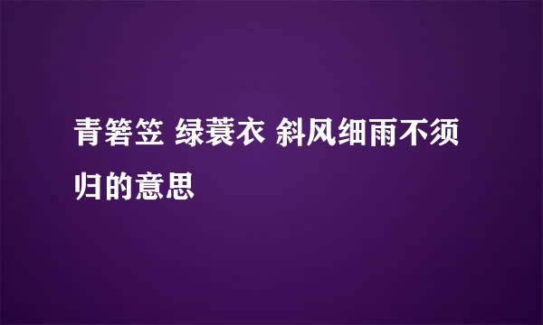 青箬笠 绿蓑衣 斜风细雨不须归的意思