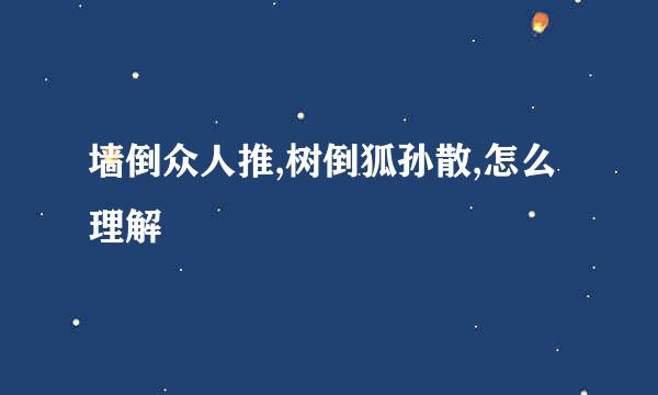 墙倒众人推,树倒狐孙散,怎么理解