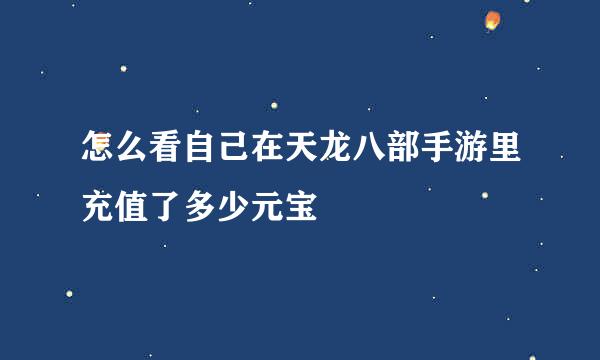 怎么看自己在天龙八部手游里充值了多少元宝