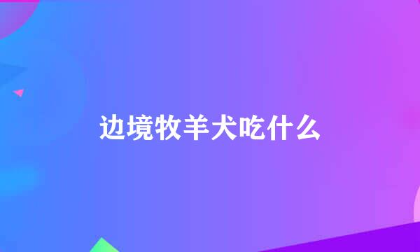 边境牧羊犬吃什么