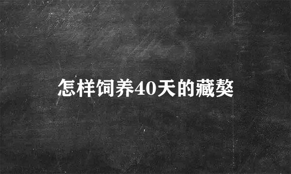 怎样饲养40天的藏獒