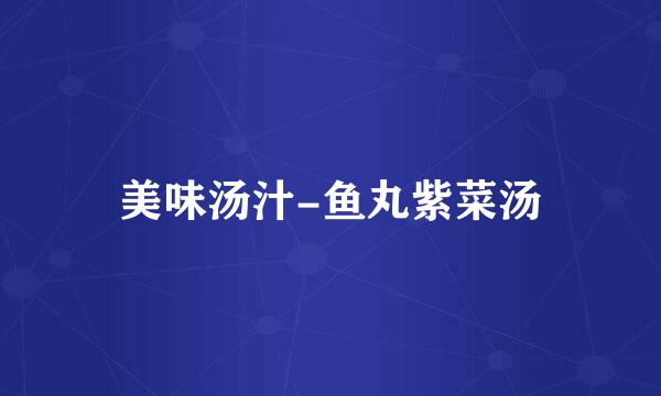 美味汤汁-鱼丸紫菜汤