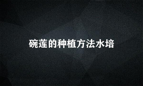 碗莲的种植方法水培