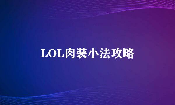 LOL肉装小法攻略