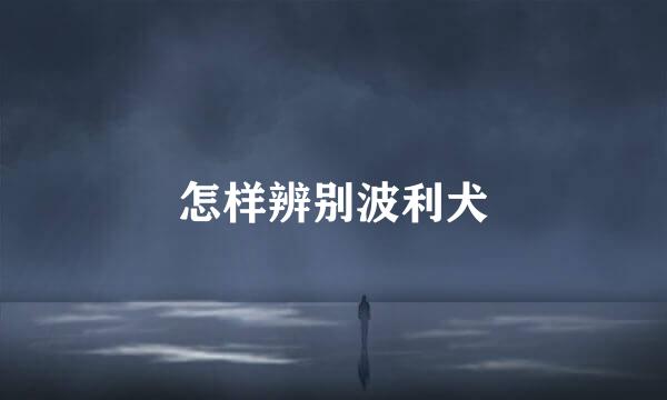 怎样辨别波利犬