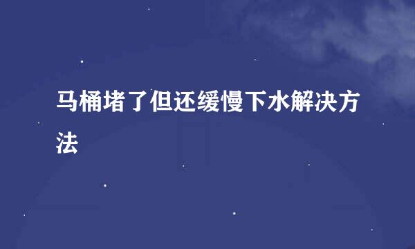 马桶堵了但还缓慢下水解决方法