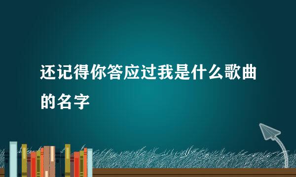 还记得你答应过我是什么歌曲的名字