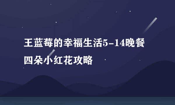 王蓝莓的幸福生活5-14晚餐四朵小红花攻略
