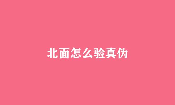 北面怎么验真伪
