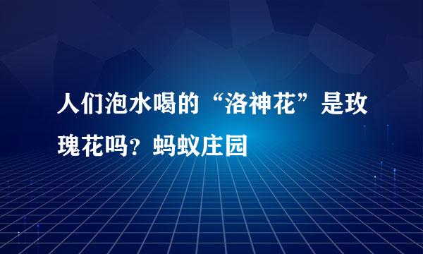 人们泡水喝的“洛神花”是玫瑰花吗？蚂蚁庄园