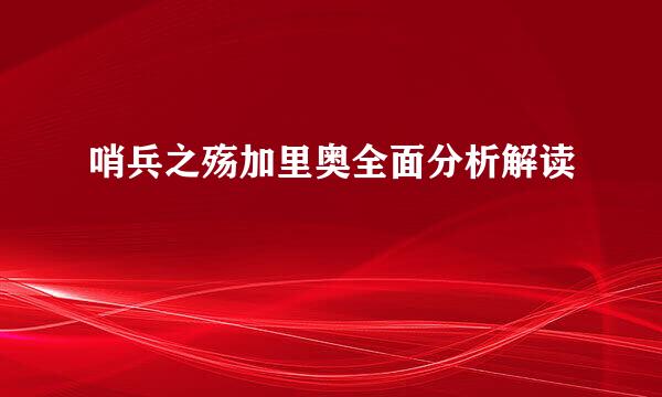 哨兵之殇加里奥全面分析解读