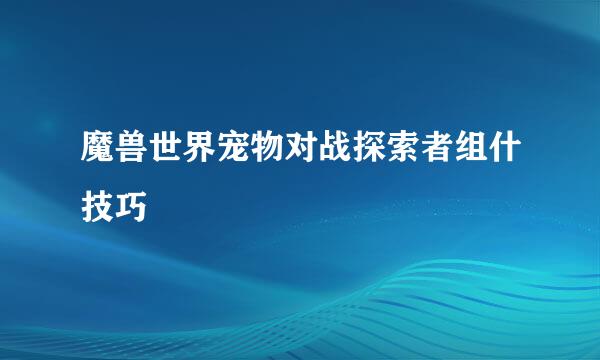 魔兽世界宠物对战探索者组什技巧