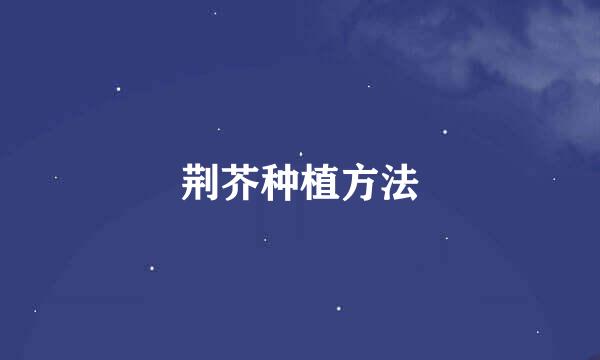 荆芥种植方法