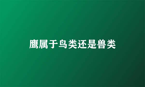 鹰属于鸟类还是兽类