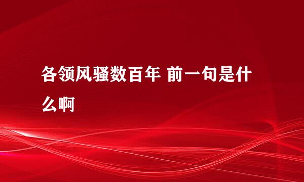 各领风骚数百年 前一句是什么啊