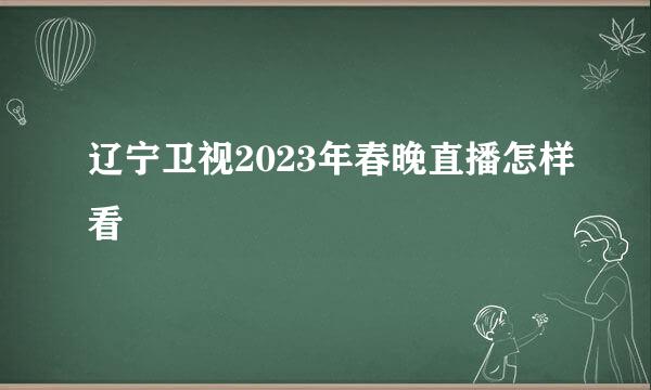 辽宁卫视2023年春晚直播怎样看