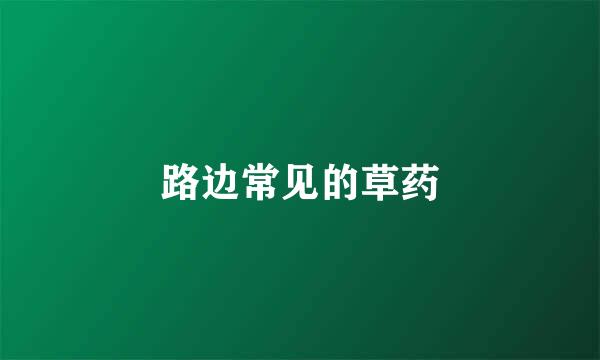 路边常见的草药