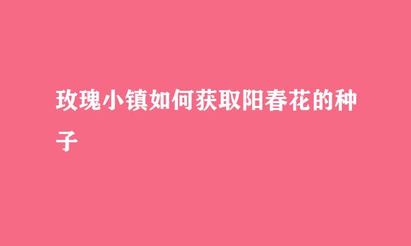 玫瑰小镇如何获取阳春花的种子