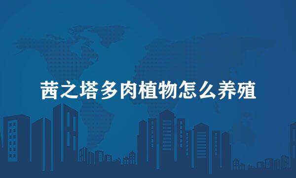 茜之塔多肉植物怎么养殖