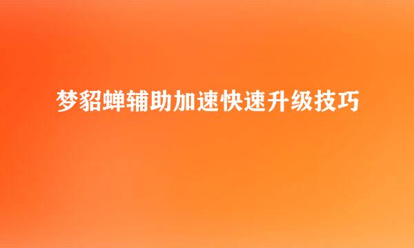 梦貂蝉辅助加速快速升级技巧