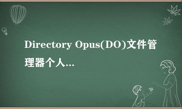 Directory Opus(DO)文件管理器个人使用经验