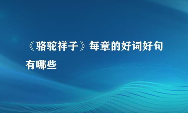 《骆驼祥子》每章的好词好句有哪些