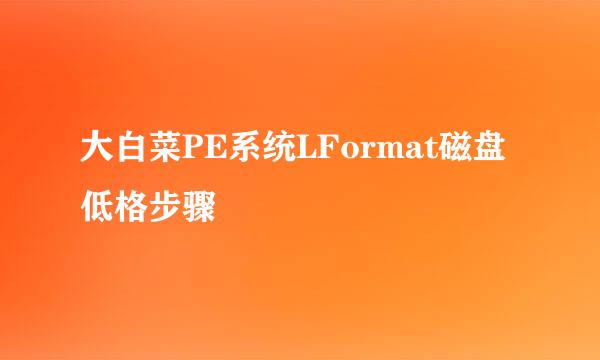 大白菜PE系统LFormat磁盘低格步骤