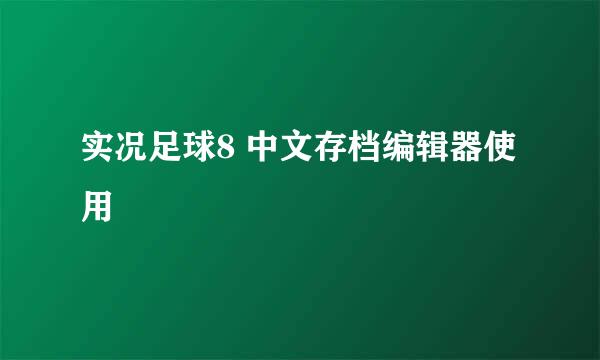 实况足球8 中文存档编辑器使用
