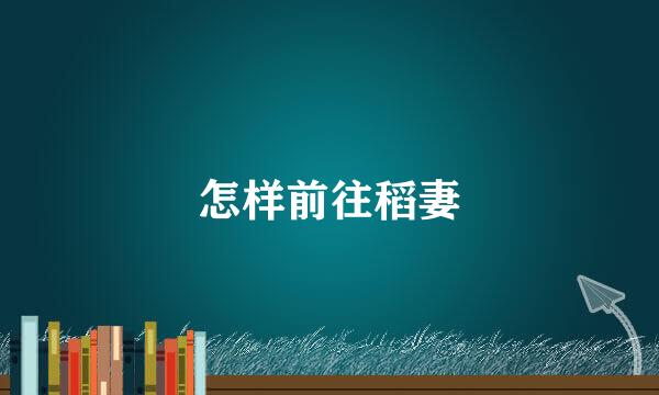 怎样前往稻妻