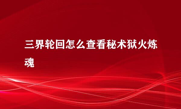 三界轮回怎么查看秘术狱火炼魂