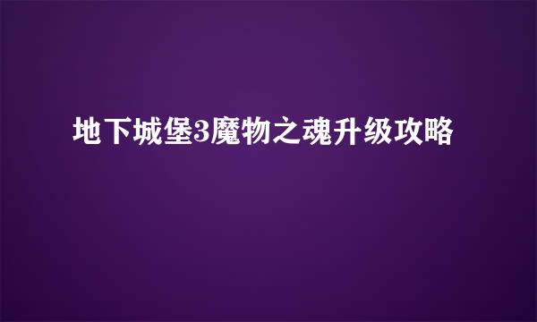 地下城堡3魔物之魂升级攻略
