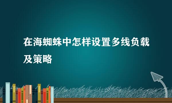 在海蜘蛛中怎样设置多线负载及策略