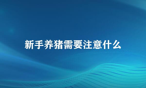 新手养猪需要注意什么