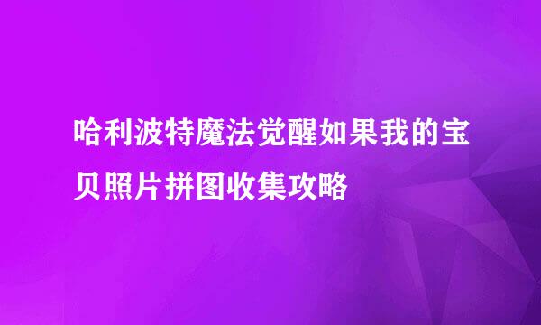 哈利波特魔法觉醒如果我的宝贝照片拼图收集攻略
