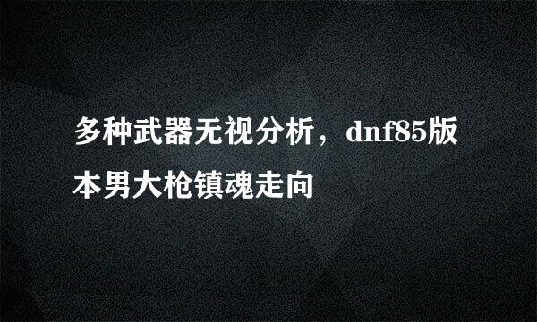 多种武器无视分析，dnf85版本男大枪镇魂走向